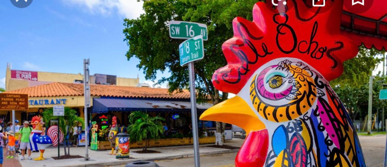 Gasthuis Brazilian Miami
