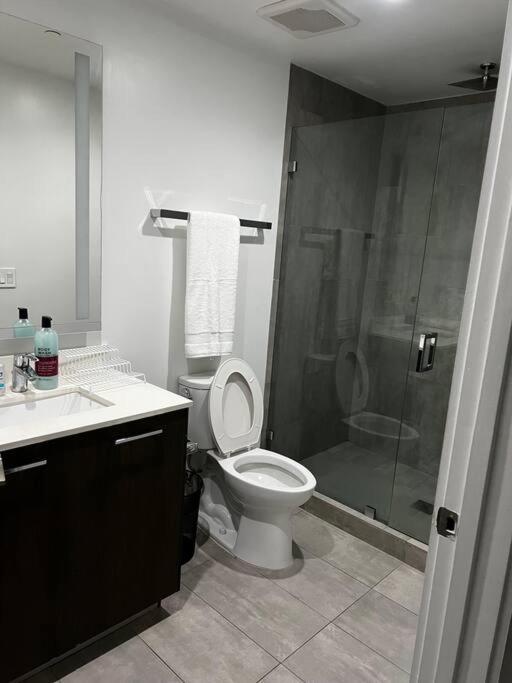Spacious And Luxurious In Downtown Appartement Miami