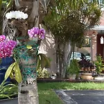 Miami nice