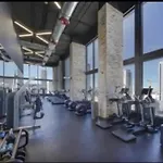 Amazing Studio Downtown Mia