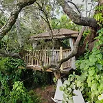 Miami Pool Cottage, Tropical Garden Paradise
