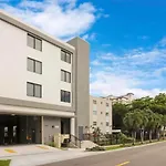 King Bed Brand New Oasis Minutes To Brickell