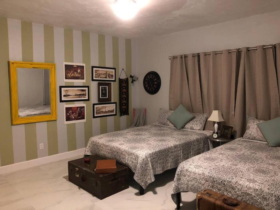 Accommodatie bij particulieren Spacious And Comfy Near Mia 2 Queen Beds *