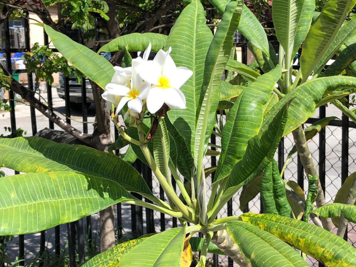 Cozy In The Heart Of Little Havana Privatunterkunft *