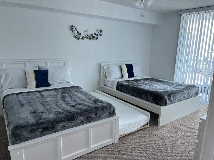 1bd With Free Parking And Amazing View