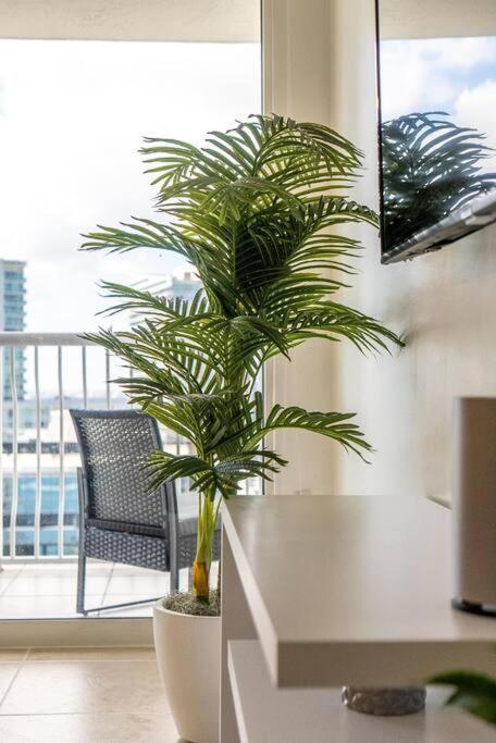 Beautiful 3 Bedroom In Brickell Appartement
