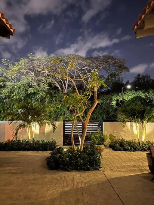 At St. Place “h”, Luxury, Pet Friendly Villa