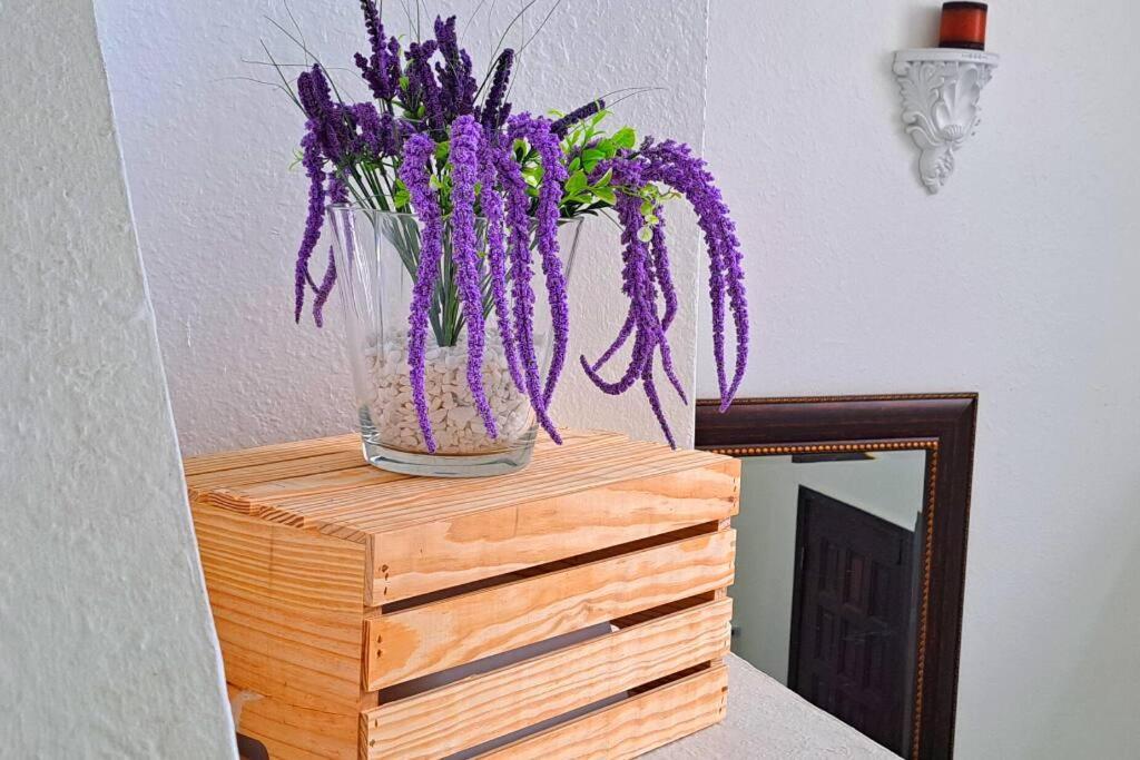 Accommodatie bij particulieren Premium Breeze Bedroom *