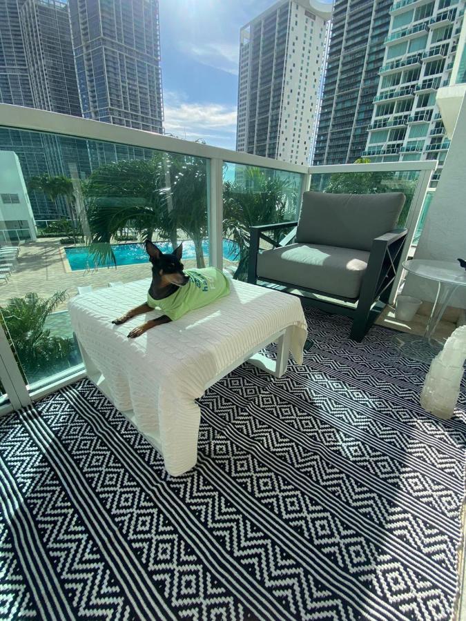 Comfortable In The Brickell Center Area Miami