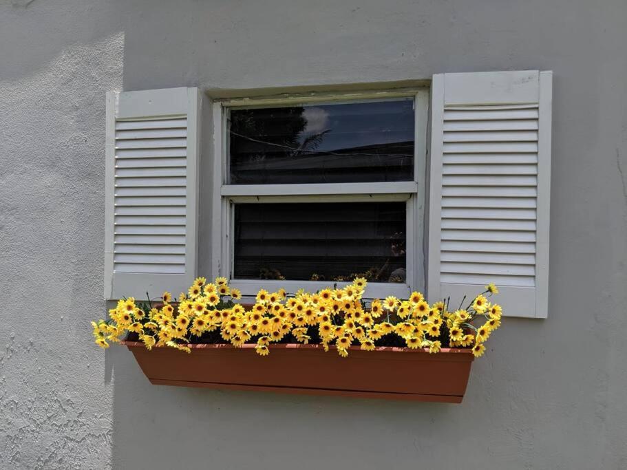 Vakantiehuis 3 Bedroom 15 Minutes To The
