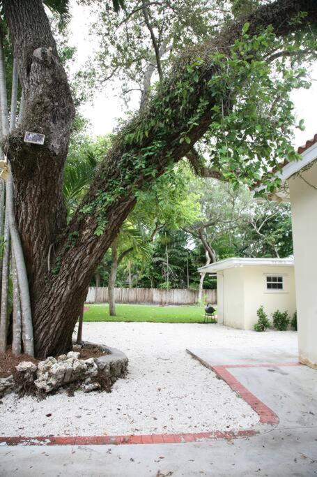 Spacious Tropical Oasis - 1/2 Acre In Heart Of Mia * Miami