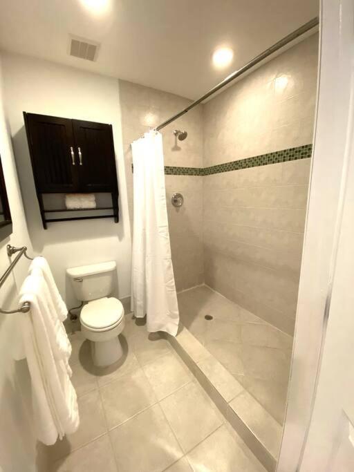 Spacious Tropical Oasis - 1/2 Acre In Heart Of Mia