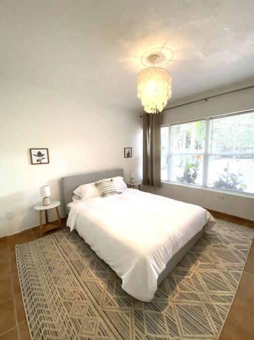 Spacious Tropical Oasis - 1/2 Acre In Heart Of Mia *