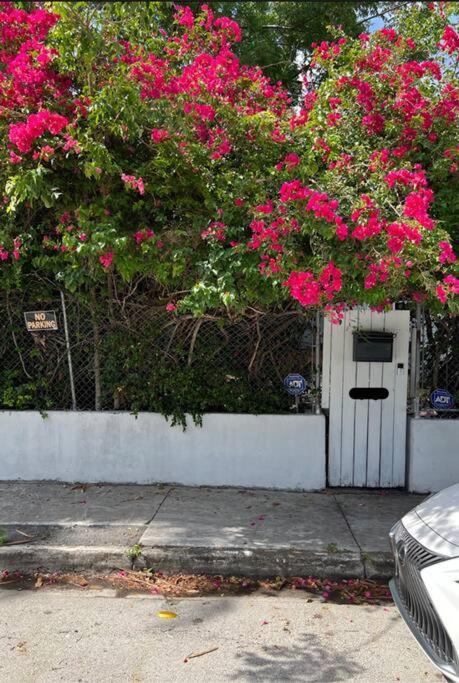 Art Deco Heated Pool Jacuzzi Very Private House On A Quite Street Close To Design District 10 Minutes From The Beach -
