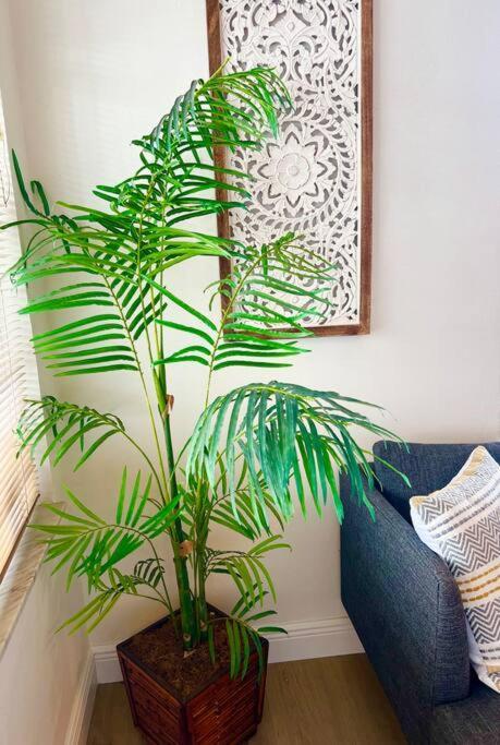 Lush Tropical Big Close To Airport, Calle 8, Coral Gables And Lots Amenities *