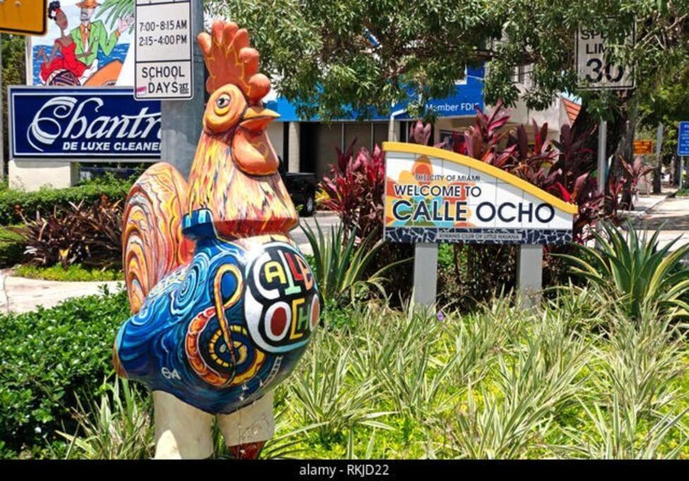 Intimate Casita Mia Minutes Away From Airport, Calle 8, Brickell, Coral Gables, The And More! Villa Miami