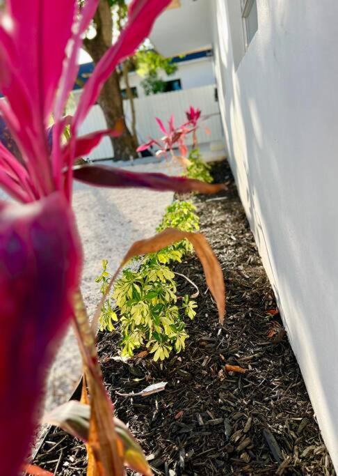 Lush Tropical Big Close To Airport, Calle 8, Coral Gables And Lots Amenities Holiday home *