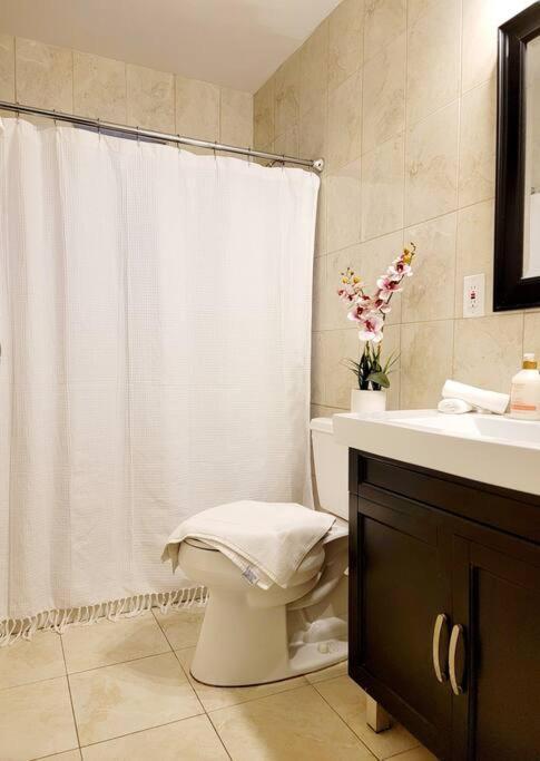 Tropical Charm Little Havana Calle Ocho 3 *