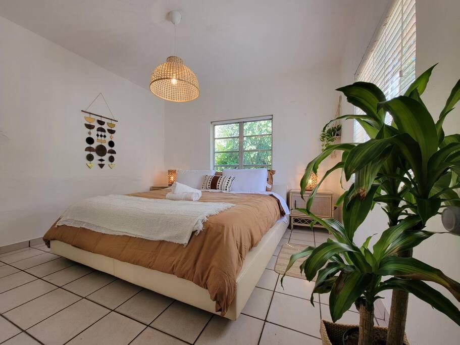 Apartment Tropical Charm Little Havana Calle Ocho 3 *
