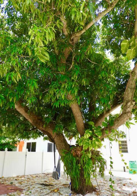Appartement Comfy & Updated Centrally Located Minutes Away From Everything! Miami