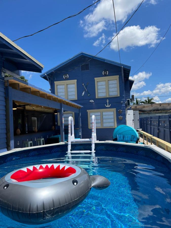 Gasthuis Blue Little Havana