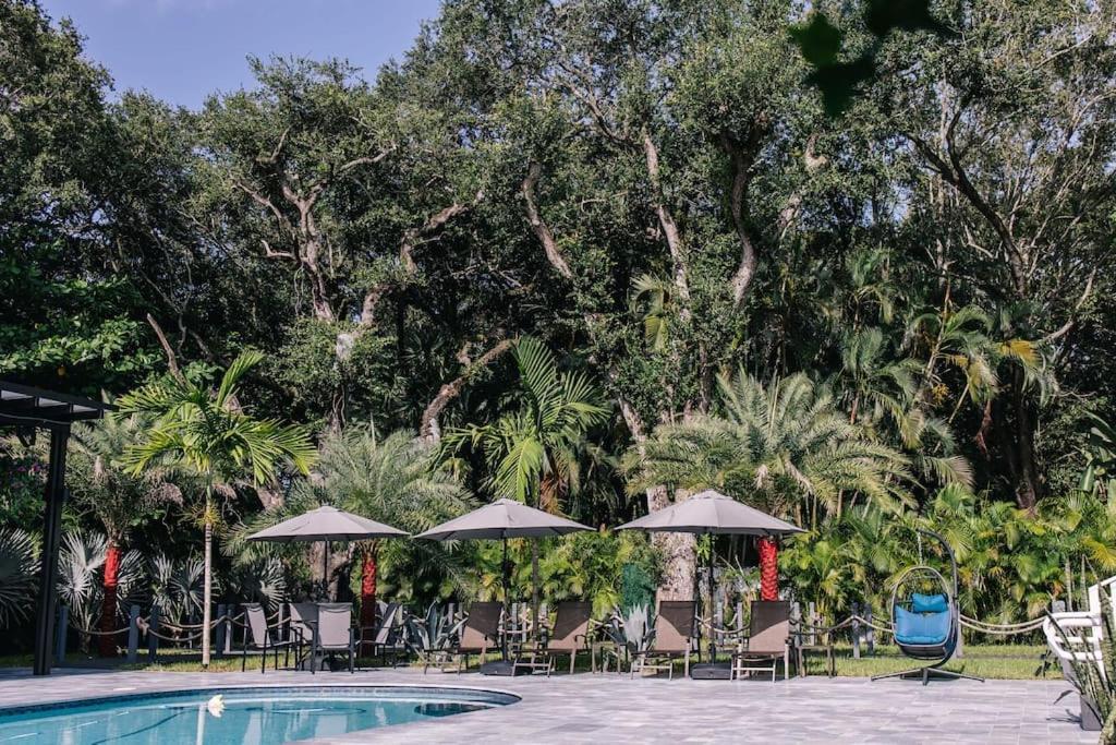 With Outdoor Sauna, Outdoor Bar And Pergola With Games Villa Miami