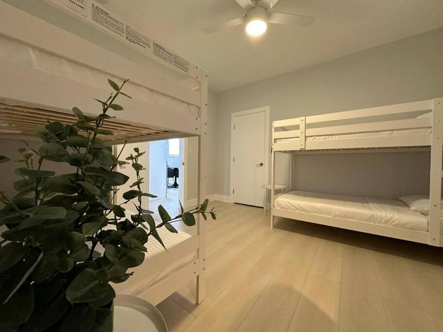 Cozy 4bed In Calle 8 Apartment