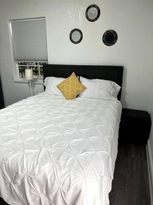 And Cozy Miami