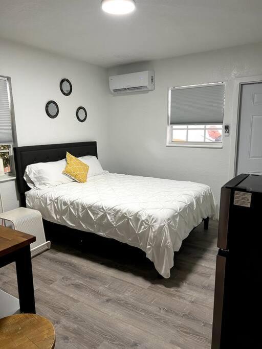 And Cozy Apartment