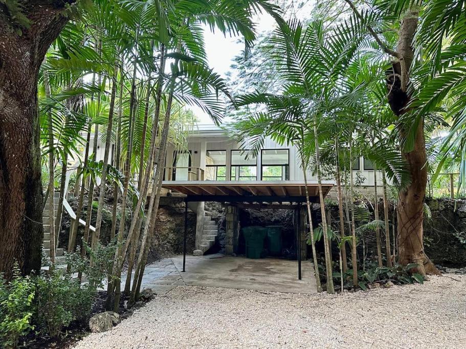 Coconut Grove Mid-century Jungle Oasis