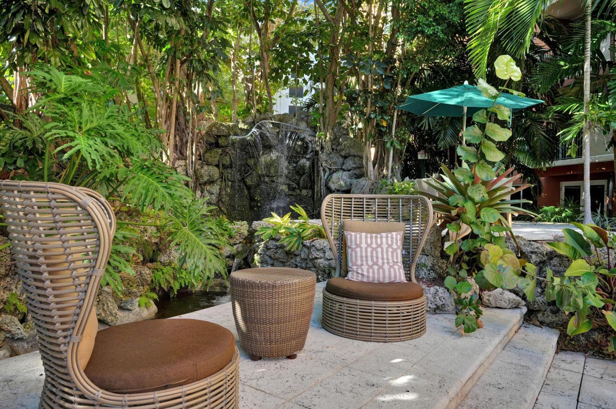 Treetop Retreat! Cozy 2 Bedroom In Heart Of Grove * Miami