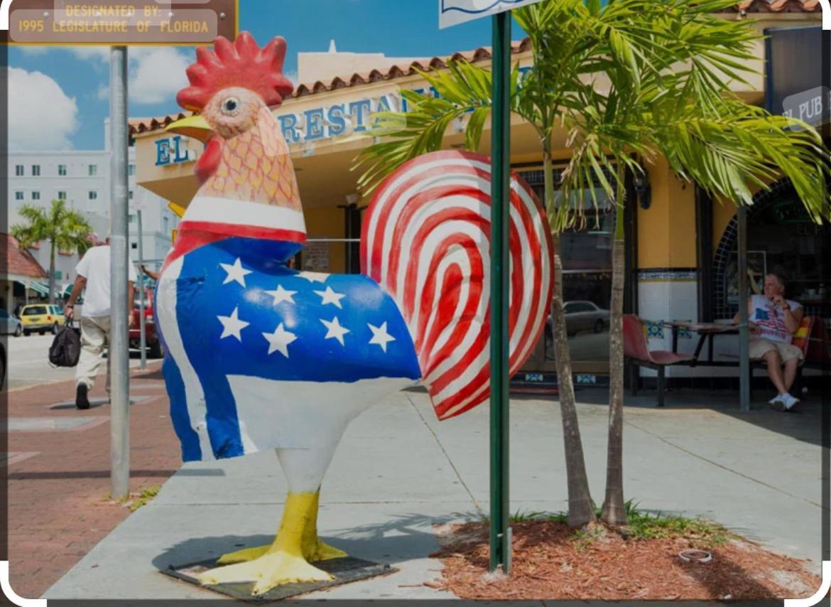 Gasthuis Blue Little Havana