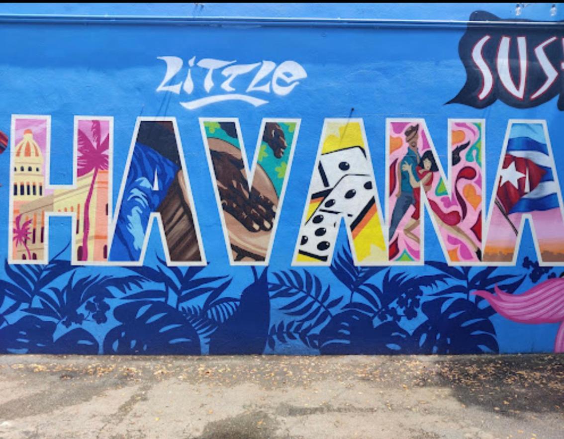 Gasthuis Blue Little Havana Miami