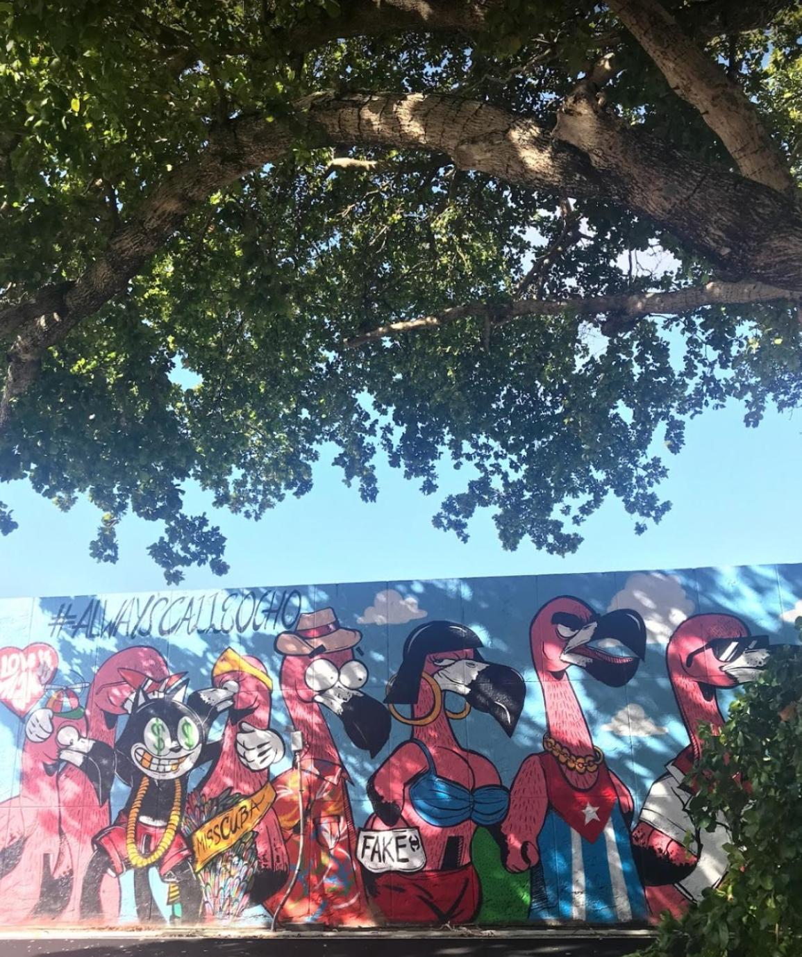 Homestay B6 Value On Private Bedroom With Private Bathroom In Little Havana, *