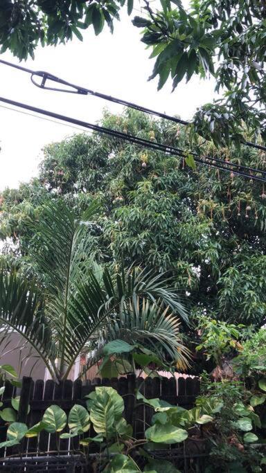 Private In The Heart Of Calle Ocho Privatunterkunft *