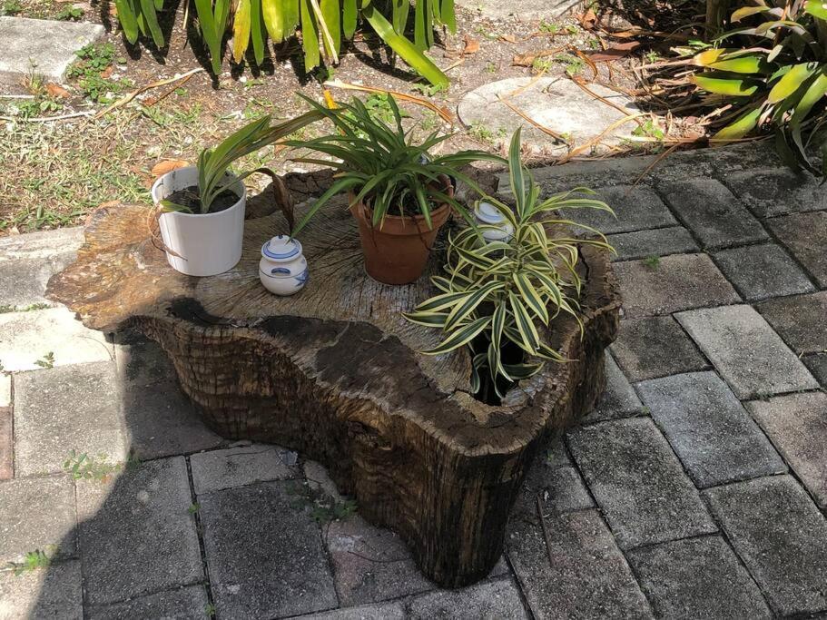 Private In The Heart Of Calle Ocho Privatunterkunft