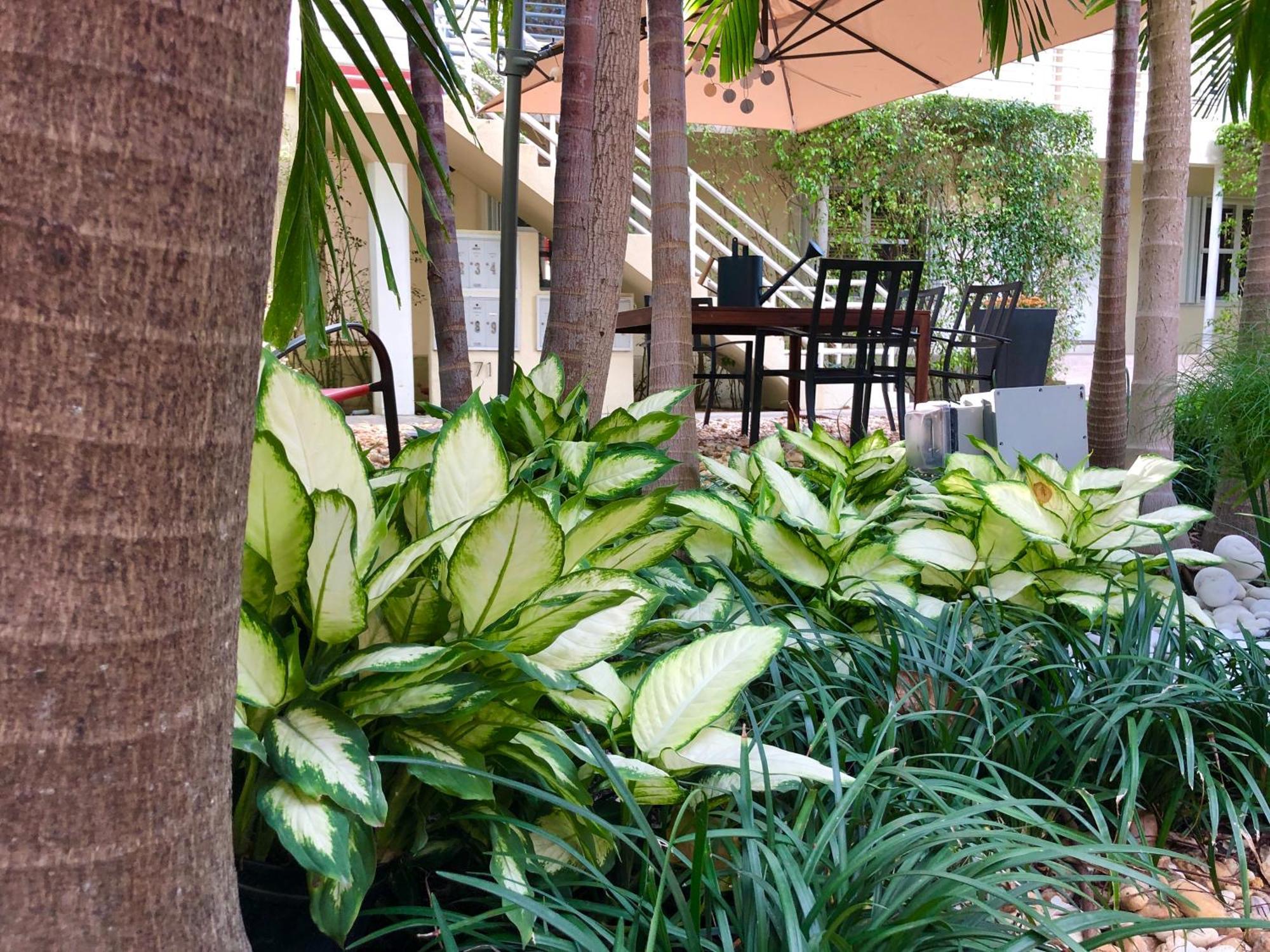 The Oasis Appartement Miami