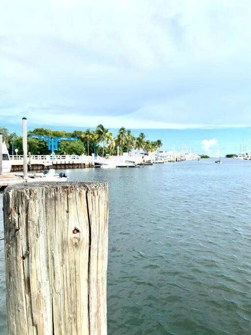 Groveo5 10 Minutes From Appartement Miami