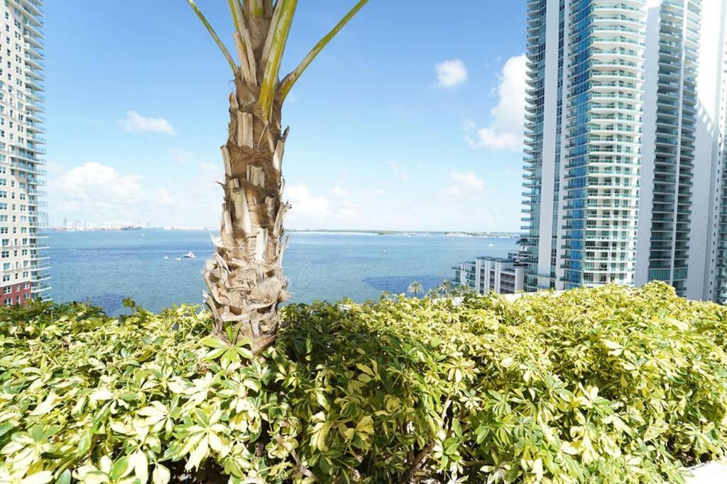 2 Bed Condo, Queen Sofa Bed Brickell, Free Parking, Pool, Gym Apartment *