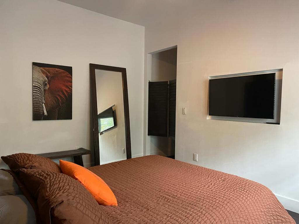 Vive Zen Queen Apartment