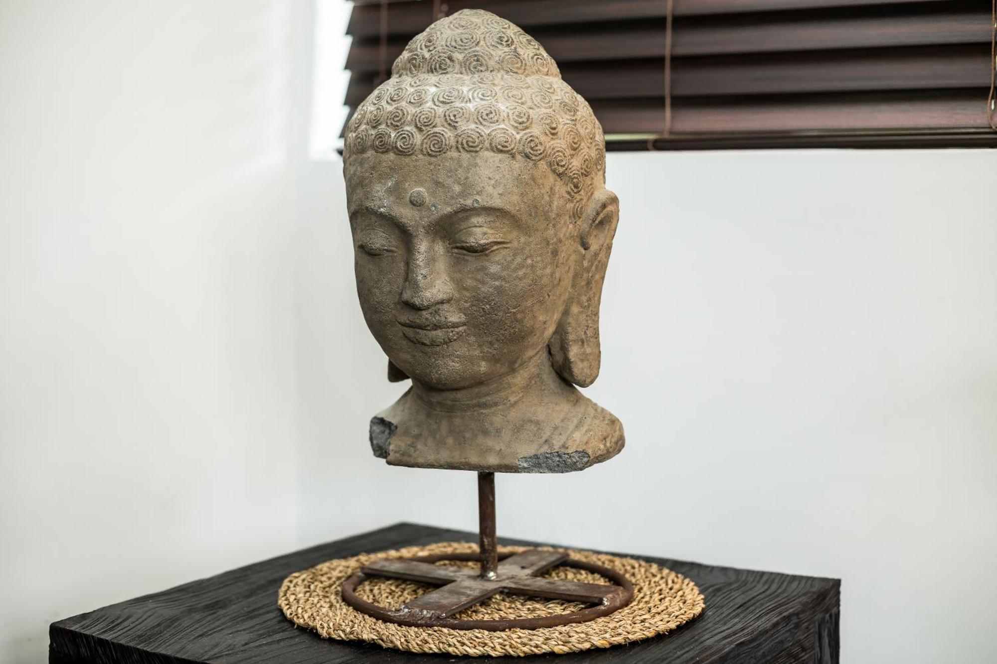 Vive Zen Queen Apartment