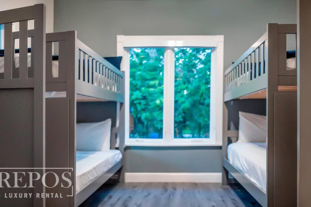 Of Dreams House