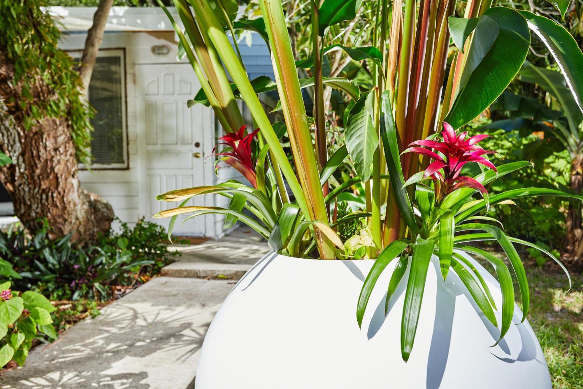 Pool Cottage, Tropical Garden Paradise *