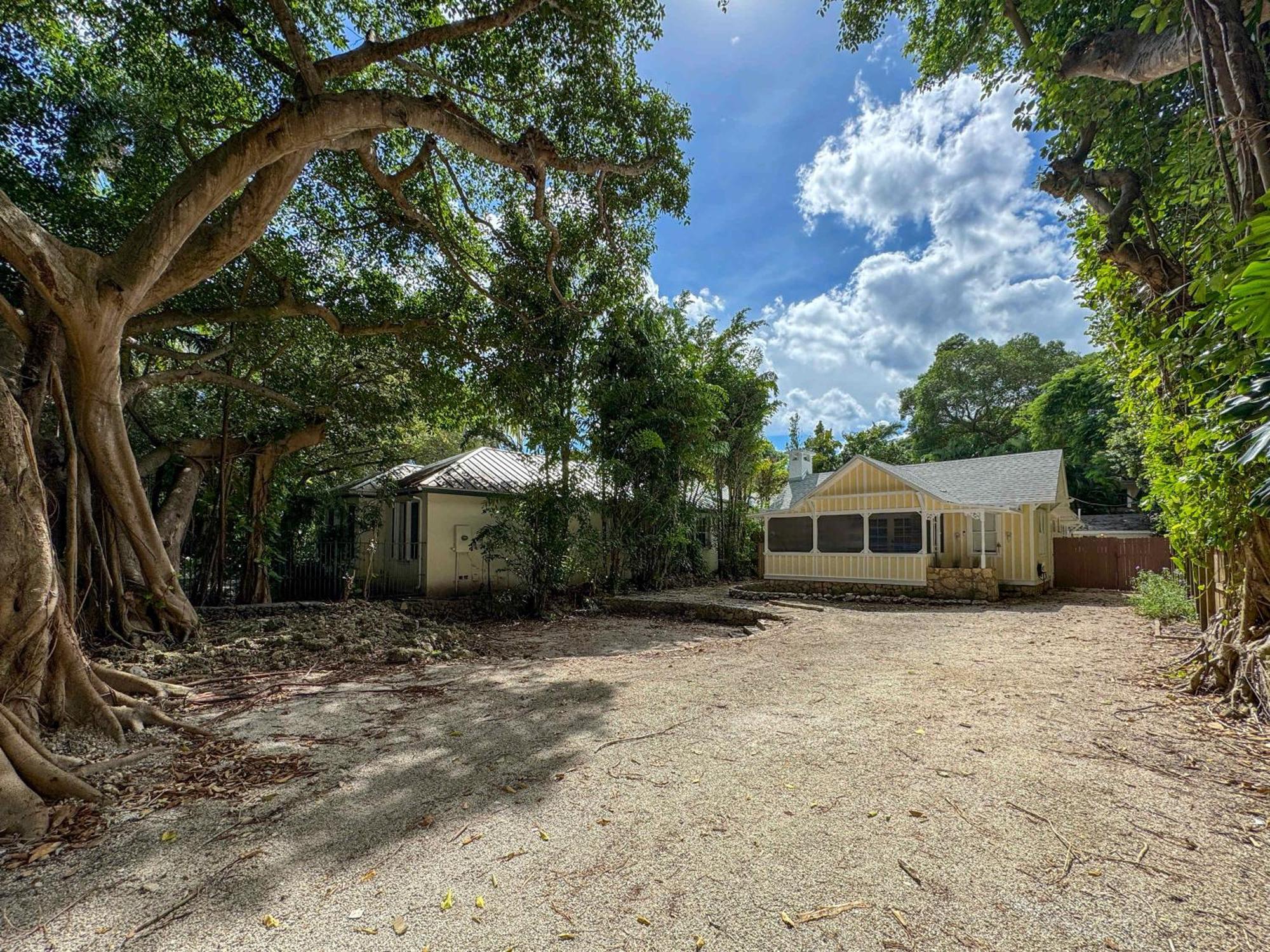Mango Grove- Charming In The Grove