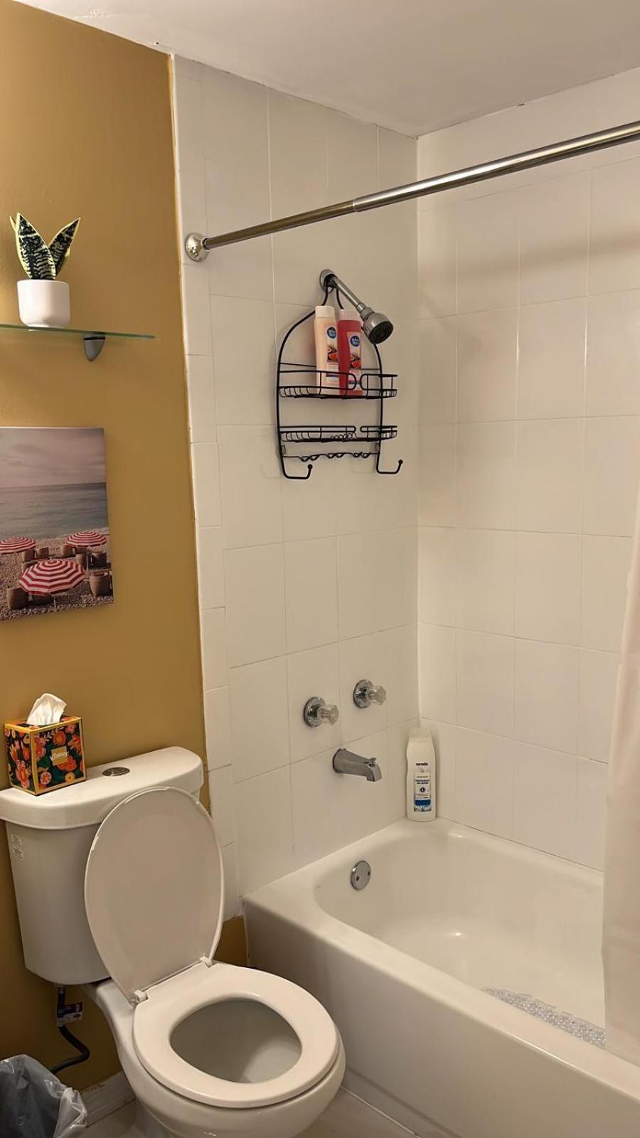 Beautiful, Fully Furnished 4bed 2bath House - 5 Minute Walk To Miracle Mile Downtown Coral Gables Villa