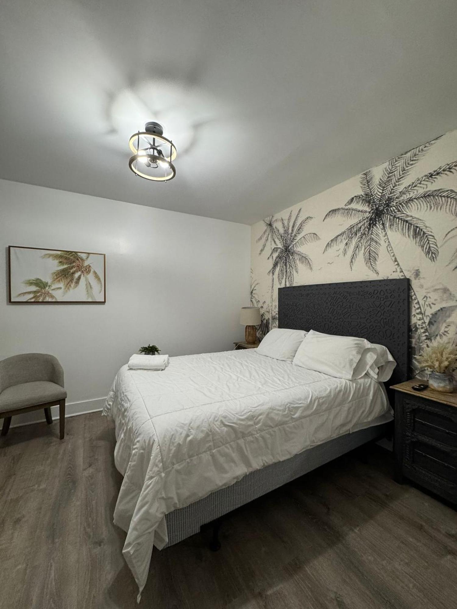 Rainbow - - Little Havanna Hotel