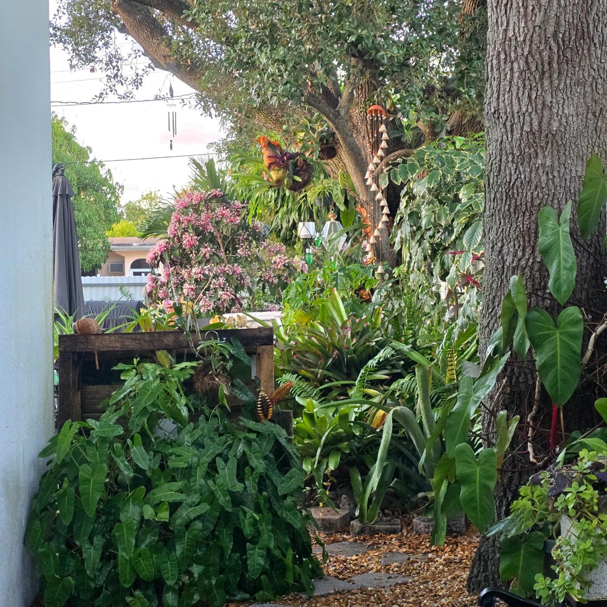 Accommodatie bij particulieren Life At Chez Mercedes Miami