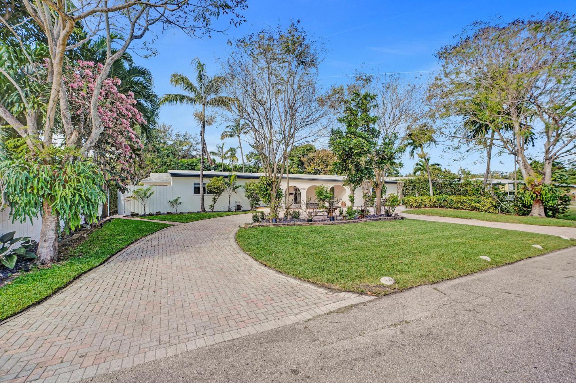 Tree Houze * Miami
