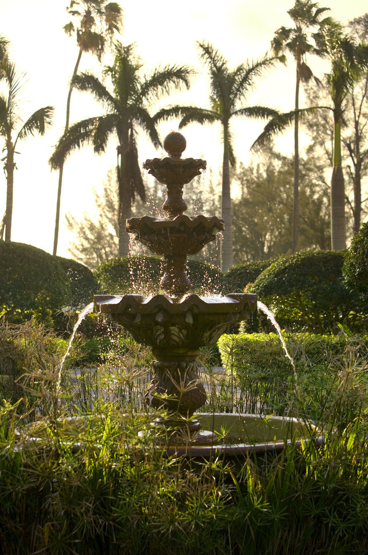 Biltmore Miami