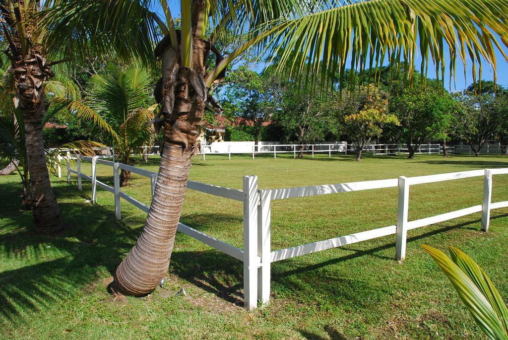 Holiday home La Finca Miami